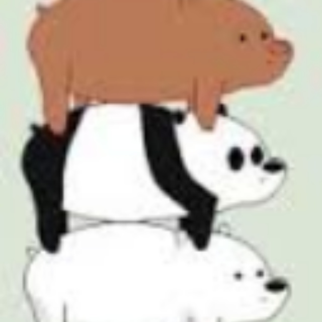 Which bear are you? 