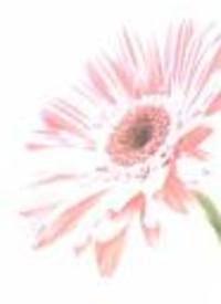 är du lik mig?
