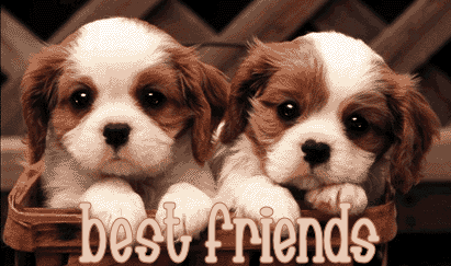 What type of friend are you?