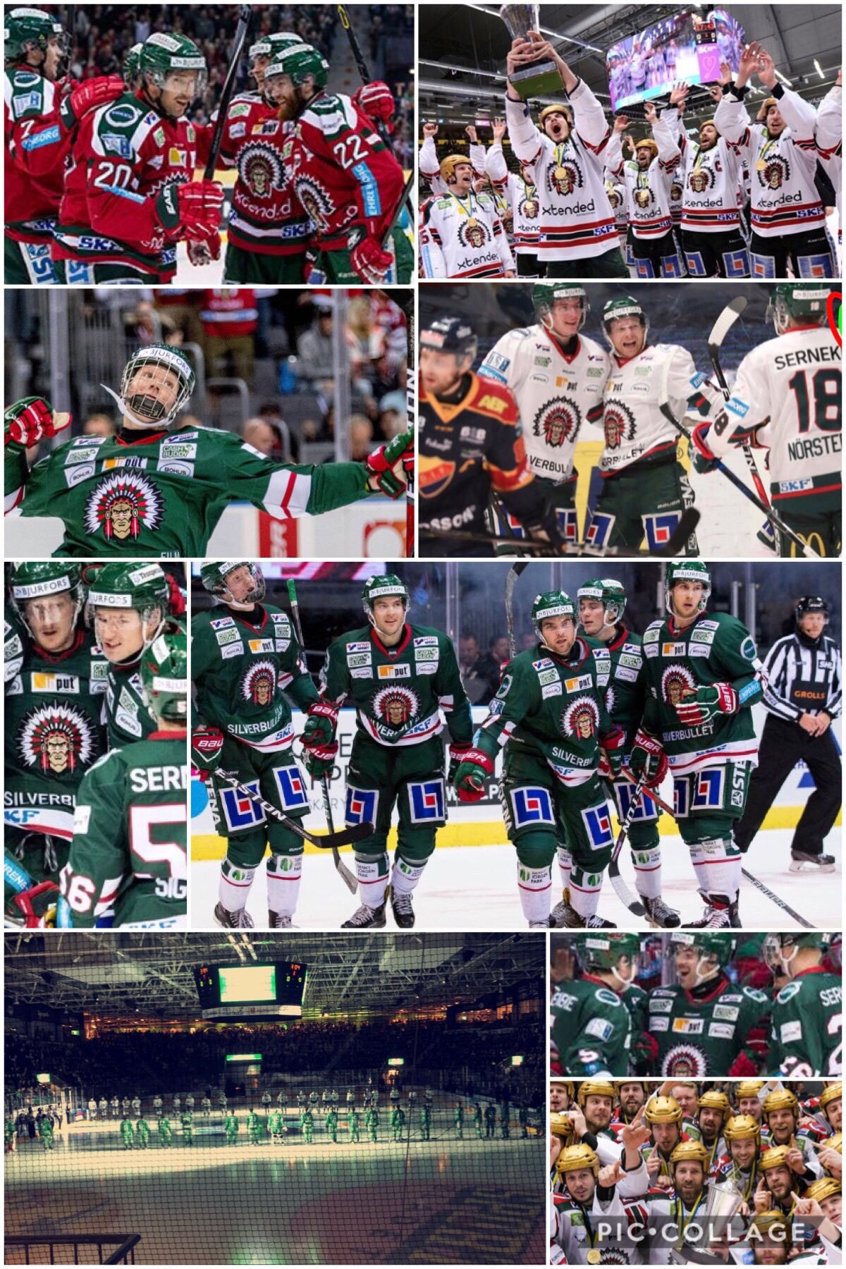 Svenska hockeyspelare!!