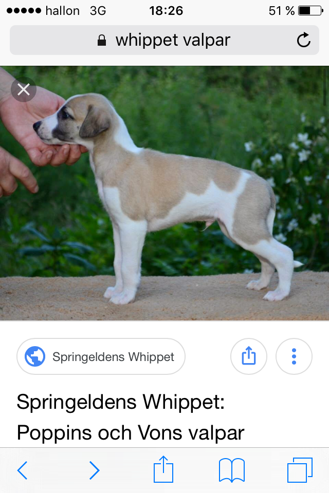 Är du en grill