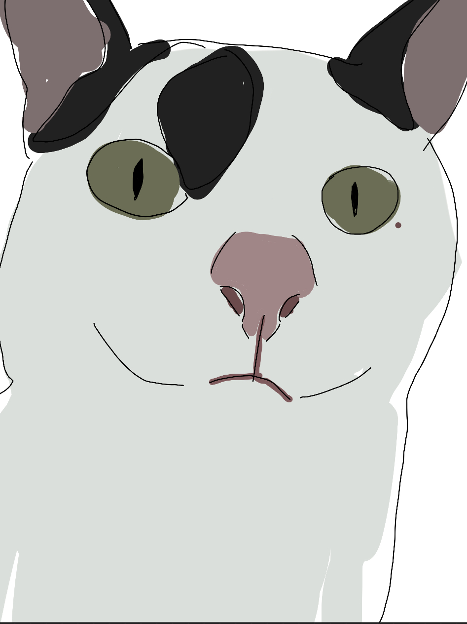 Är du en katt eller hund