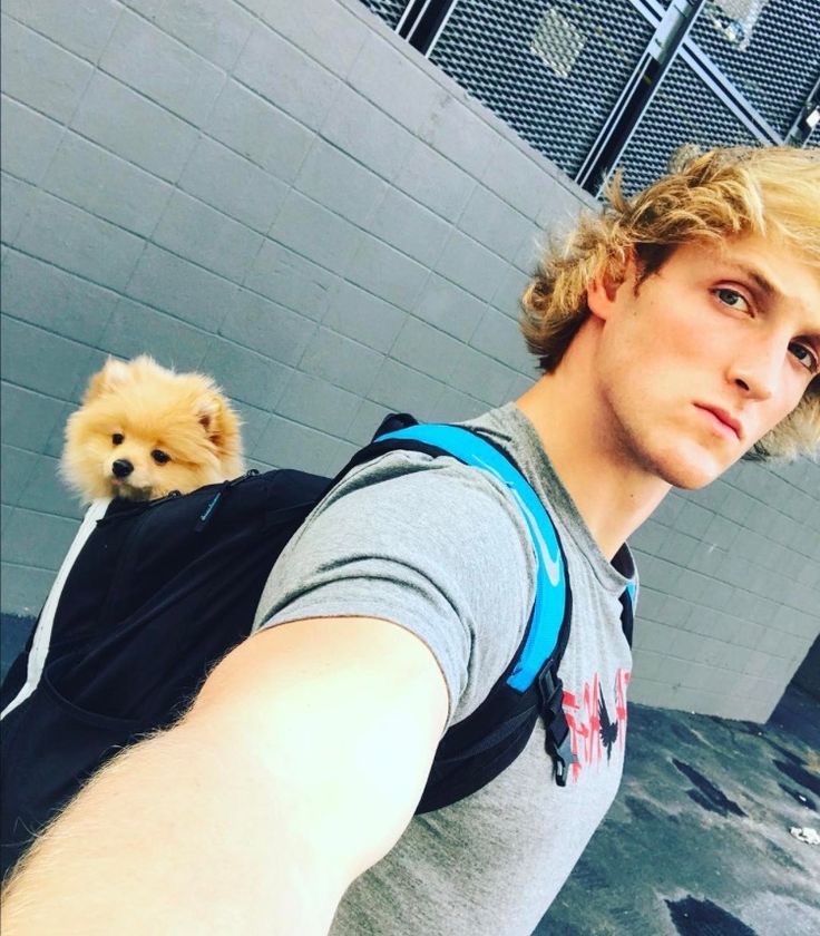 who loves Logan paul