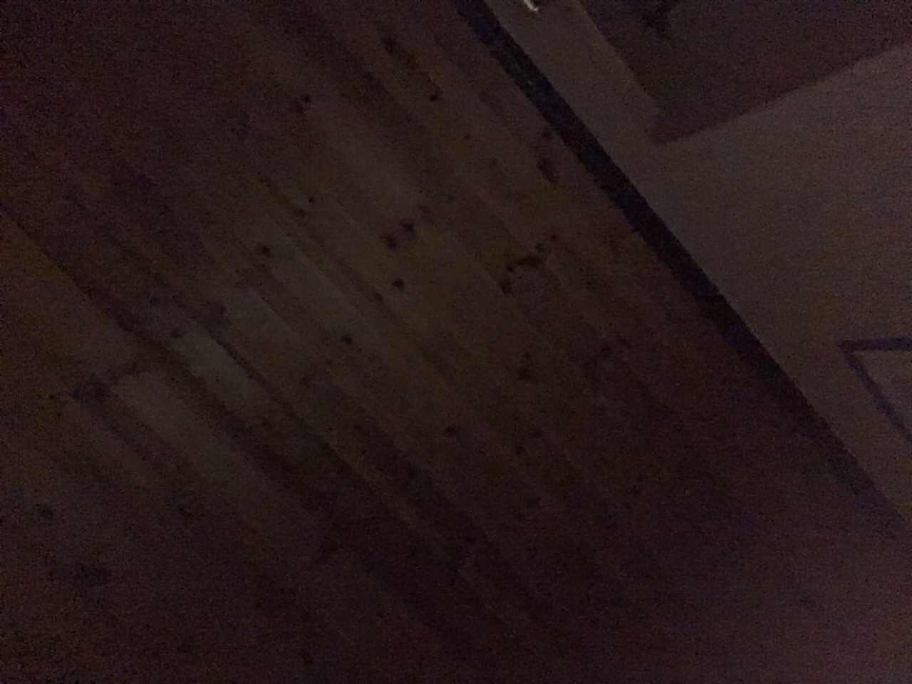 Hur korkad är du