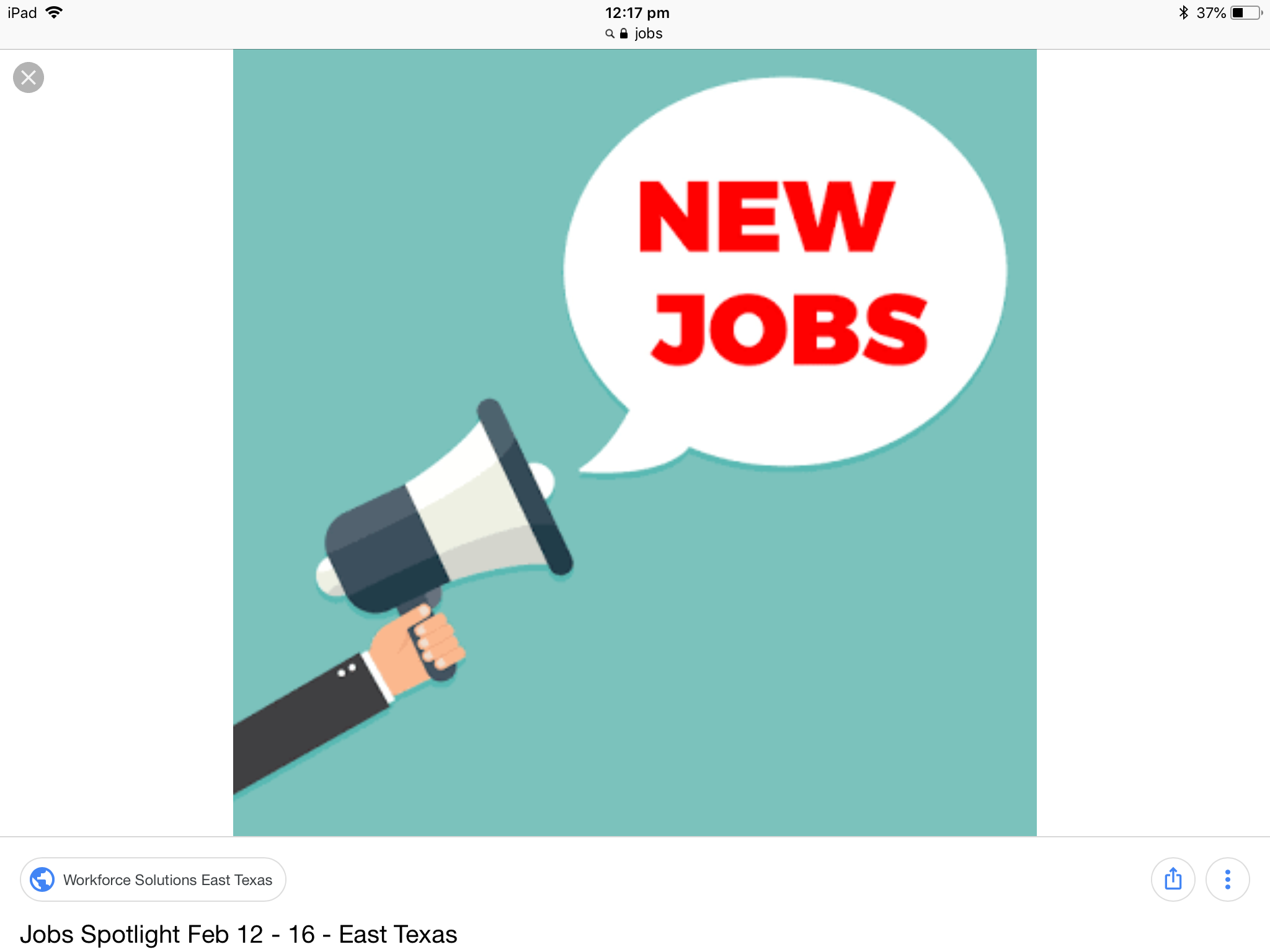 What is your future job?