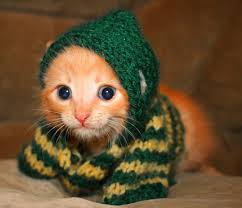 r u cute?