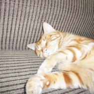 Is Makenna my friend 