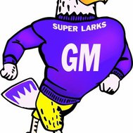 Grandmeadow superlarks