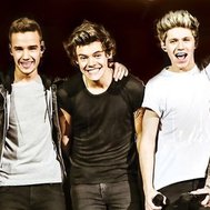 Are You a Directioner??