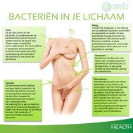 Bacterien