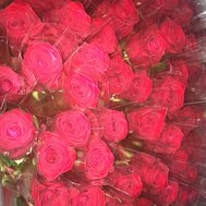 Wie kent my t best🍓