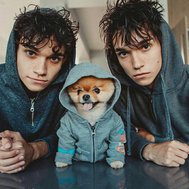 How well do you know the dobre twins