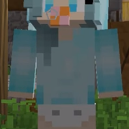 Witch Aphmau Charactar are you