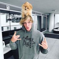How well do you know Logan Paul