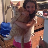 Cat or dog person?