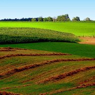 Economics - Land Quiz