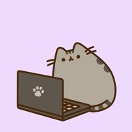 How well do you know PUSHEEN the cat! 🐱