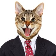 eg