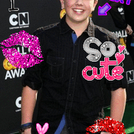 Do you love Bradley Steven Perry?