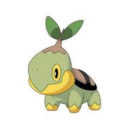 Pokemon Junior Quiz