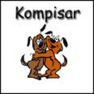 kompis-testet