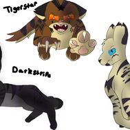 How Well Do You know Warrior Cats?
