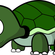 ARE YOU A TURTLE LOVER!!!!!!!!!!