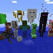 Do you know your minecraft?