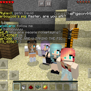 Which Minecraft Diaries has a crush on you