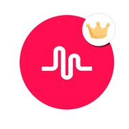 How Much Do You Know Musical.ly? ~ Official QuizMe Co-Worker~