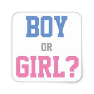 Are You A Boy