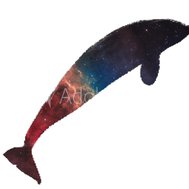 Om du får 10/10 får du mitt nummer