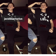 Jacob Sartorius