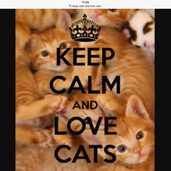 Är du en Coolcatlover?