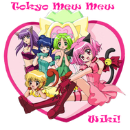 Do you know my tokyo mew mew?