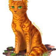 How much do u know about Firepaw/star
