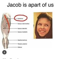 Do you know my husband jacob sartorius?