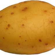 are you a potato??