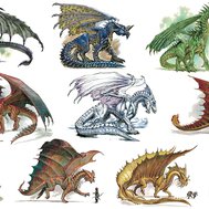 What kind of dragon are you