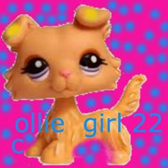 who is you celb crush