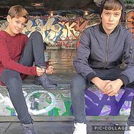 Max and Harvey  quiz