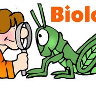 biologie thema 1