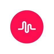 Could you be famous on music.ly?