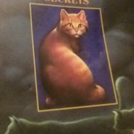 Warrior Cats: Original Series Quiz: Forest of Secrets