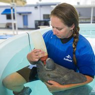 what trainer would you be at seaworld