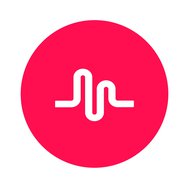 DO YOU KNOW MUSICAL.LY