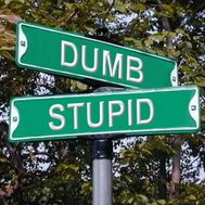 r u dumb?                               ÉÉÉÉÉÉÉÉÉÉÉÉÉÉÉÉÉÉÉ