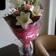 Robin's Freunde Quiz