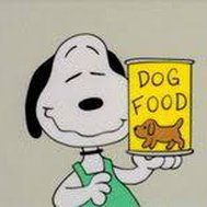 What is your favorite dog?