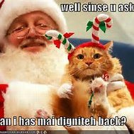 Ifz yoz wer kitten:Christmas